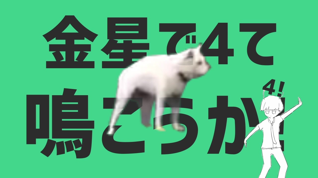 金星で4って鳴く犬