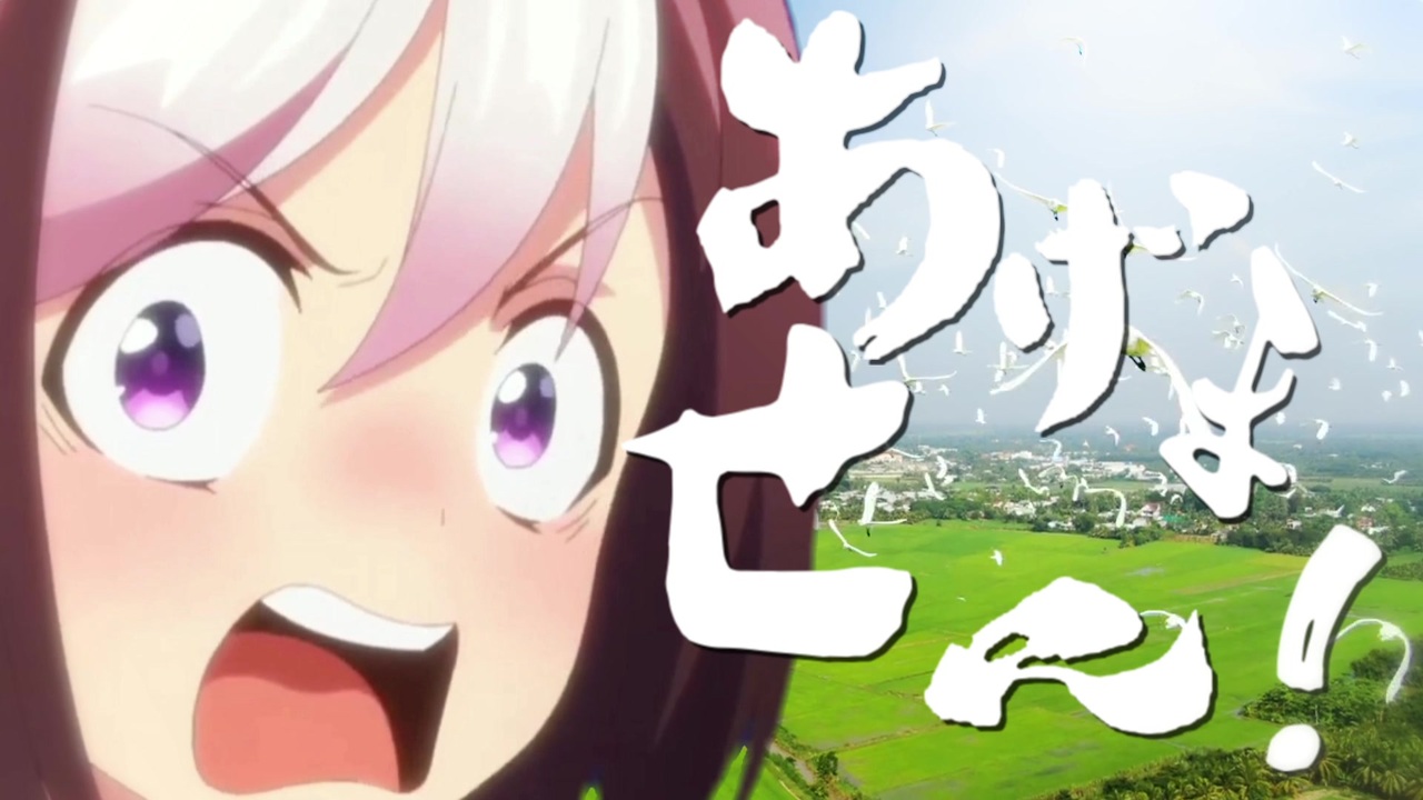 空も飛べません!!