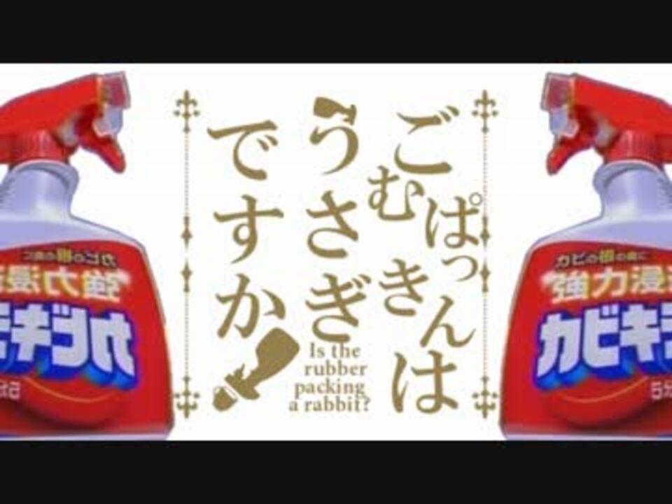 ごむぱっきんはうさぎですか?
