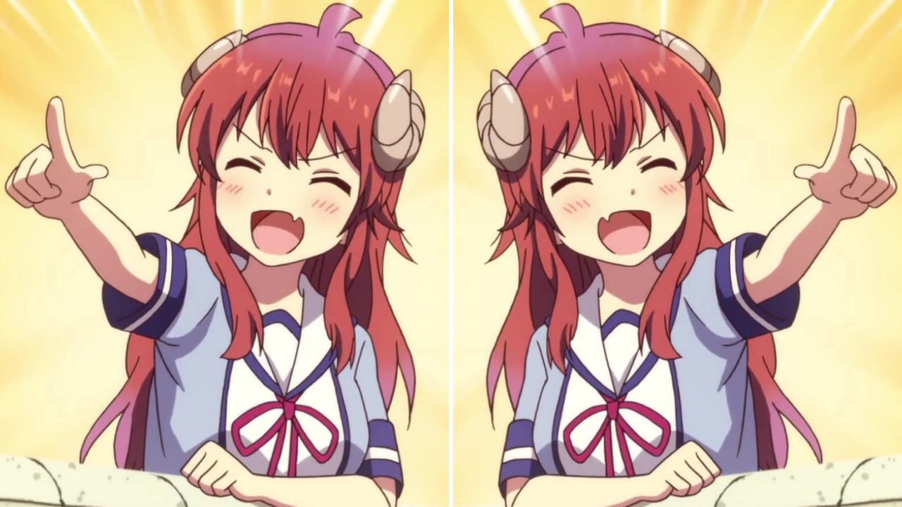 THE SHAMIKO