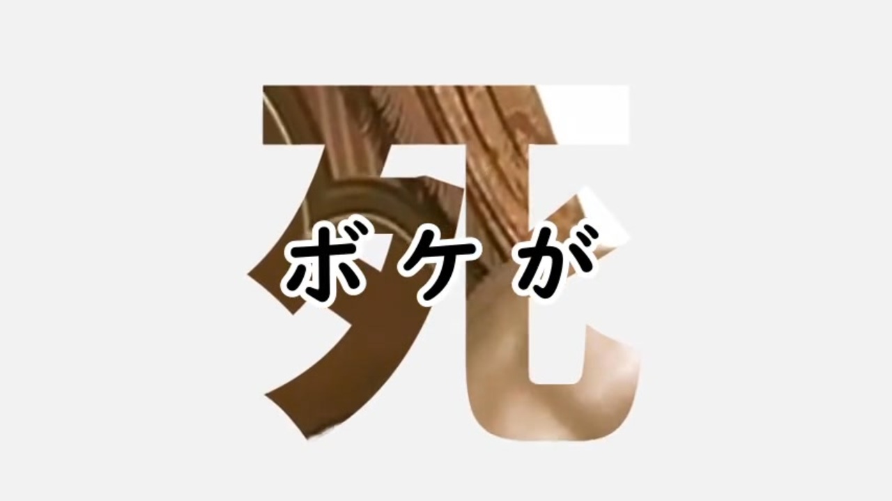 就活どうですか?